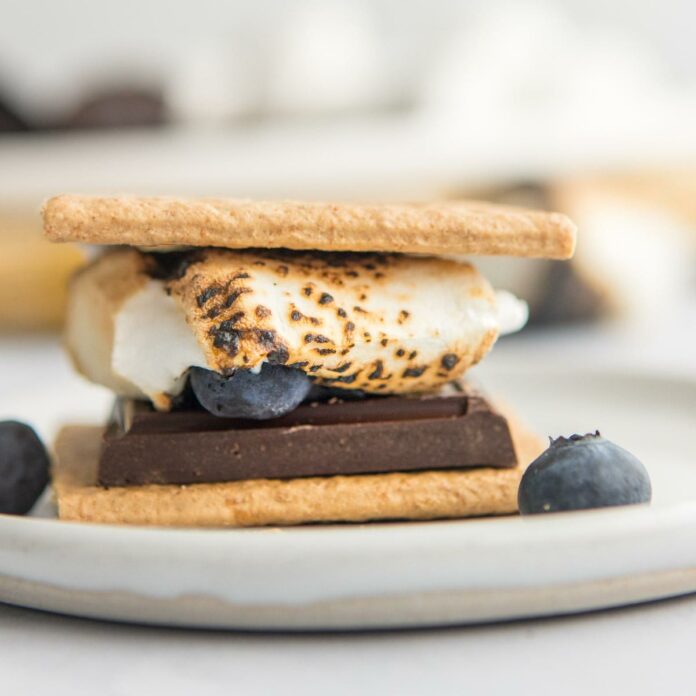 close up of charred marshmallow s